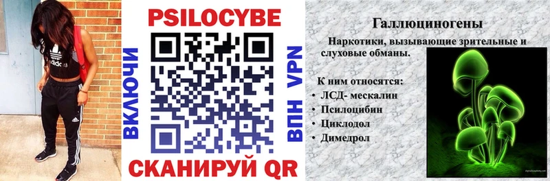 Галлюциногенные грибы GOLDEN TEACHER  Купить  Андреаполь 